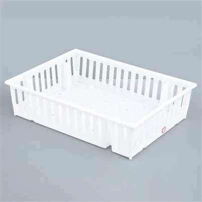 Plastová Day Old Chick Box