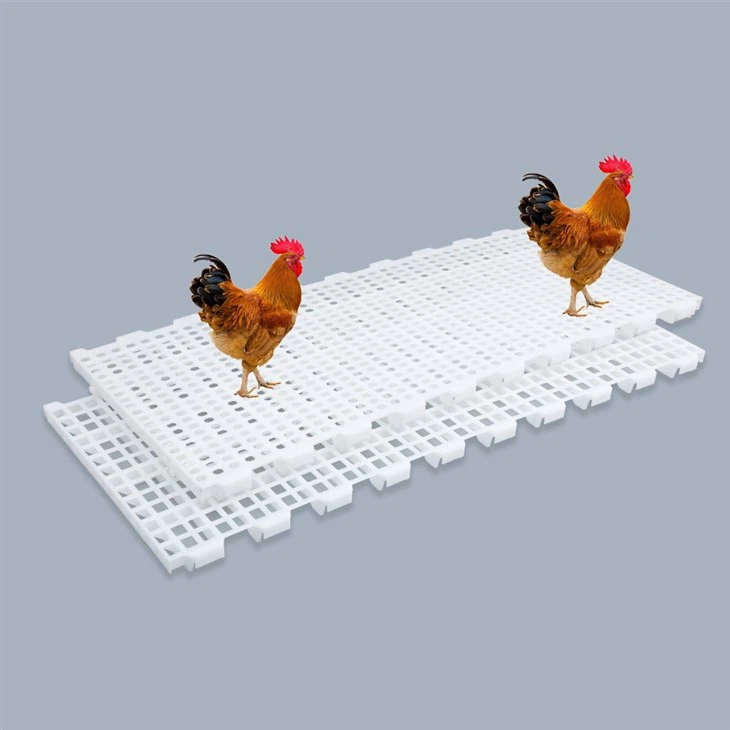 Mat Slatted Plastic Flooring For Poultry Farming