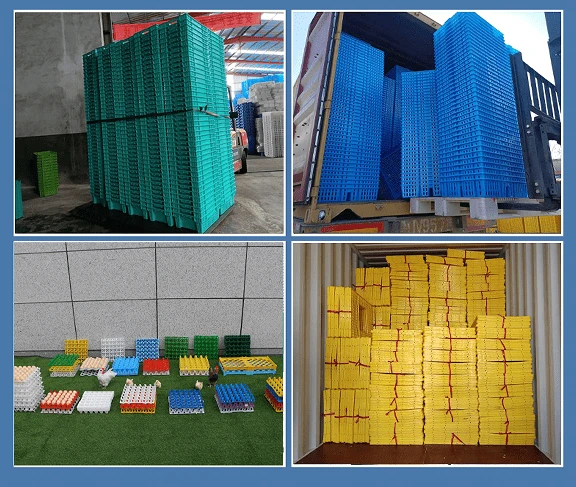 product-576-487 product-576-487